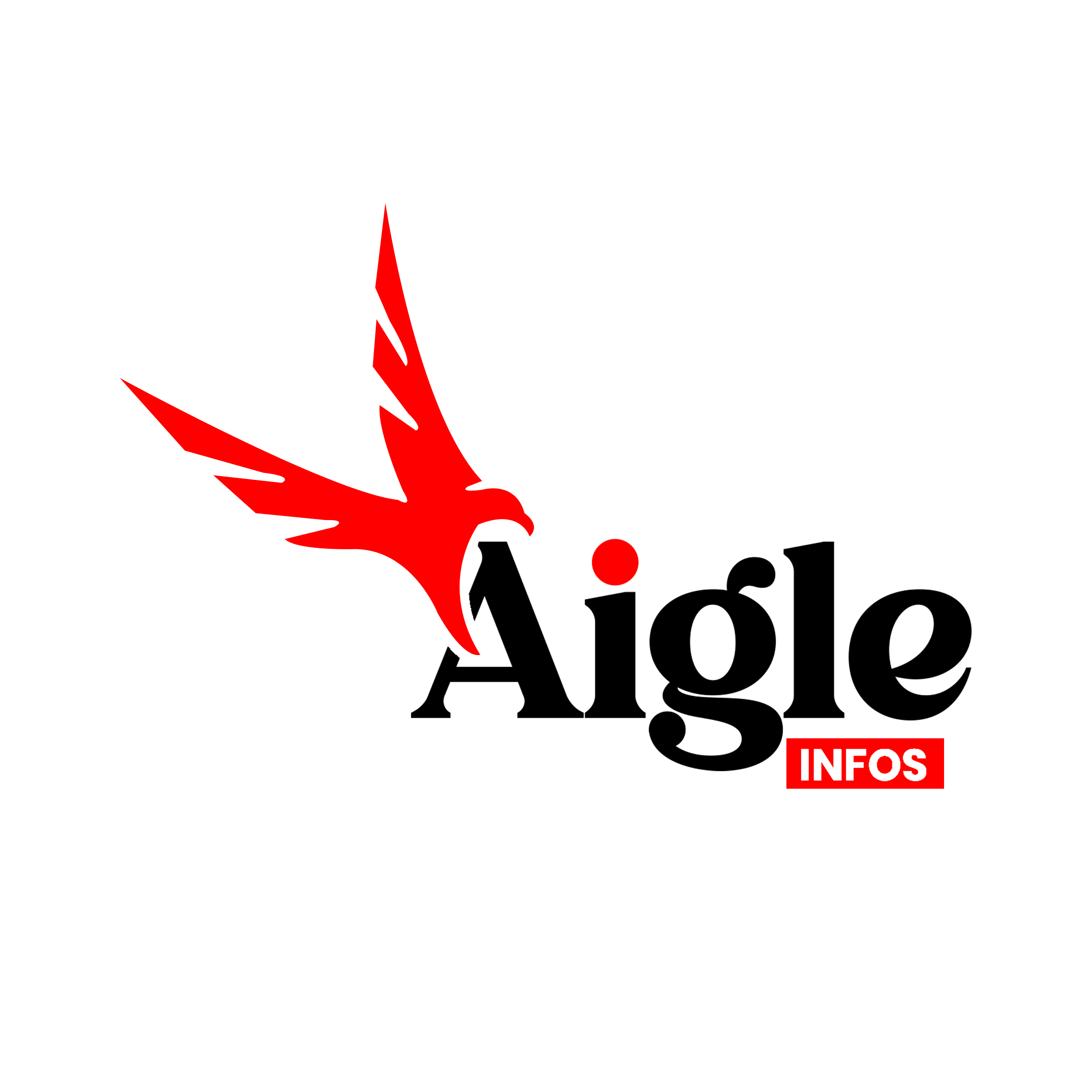 Aigleinfos — Artisan de la lumière